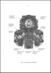 Argus As10
