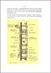 JUMO 207