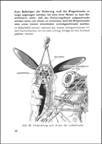 Junkers Verstell-Luftschrauben